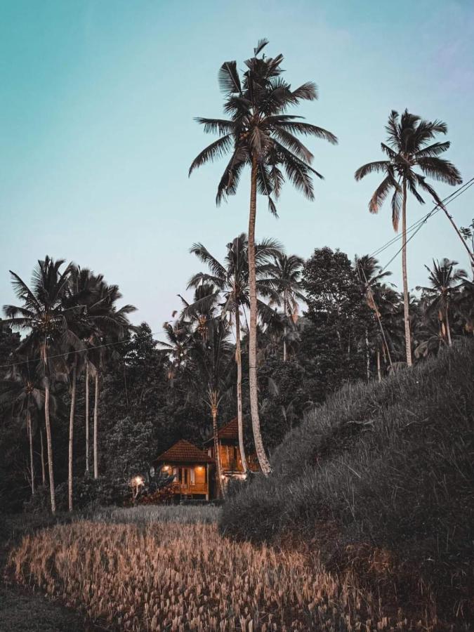 Uma D'Nyuh Homestay Singaraja Exterior foto
