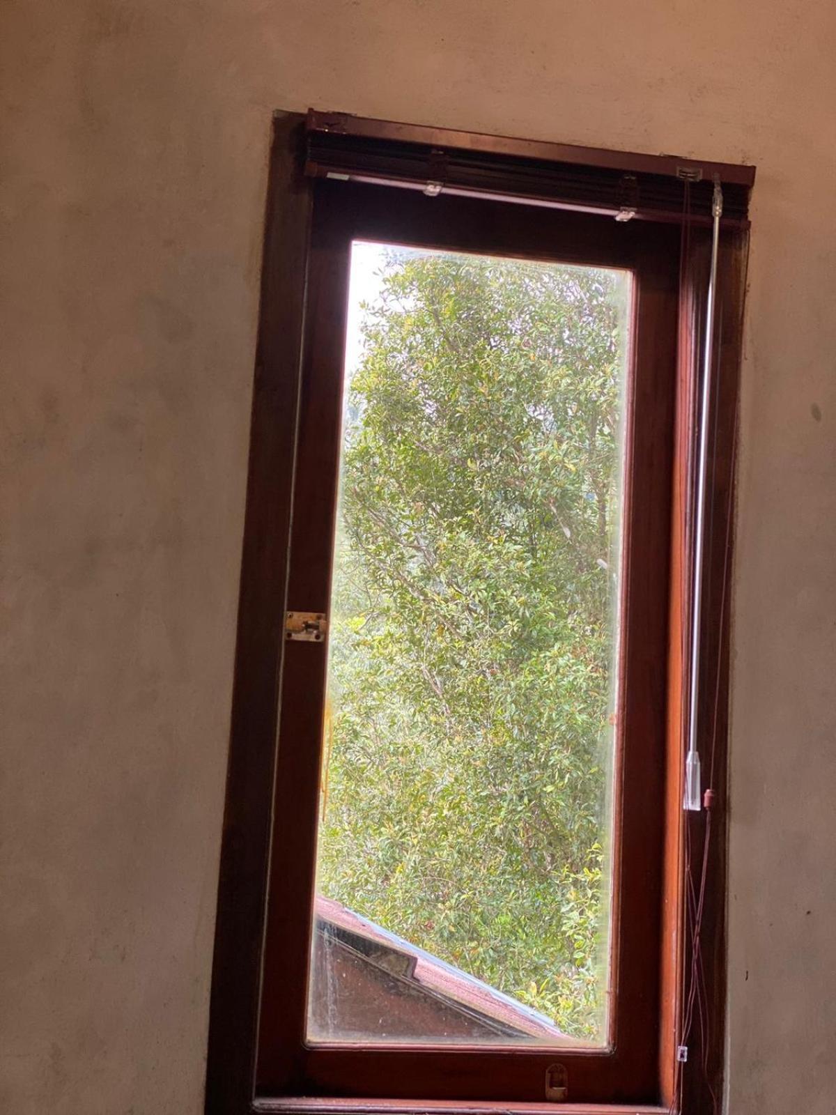 Uma D'Nyuh Homestay Singaraja Exterior foto